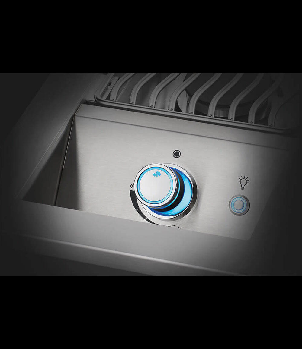 Napoleon 内置700系列10英寸单炉灶带盖