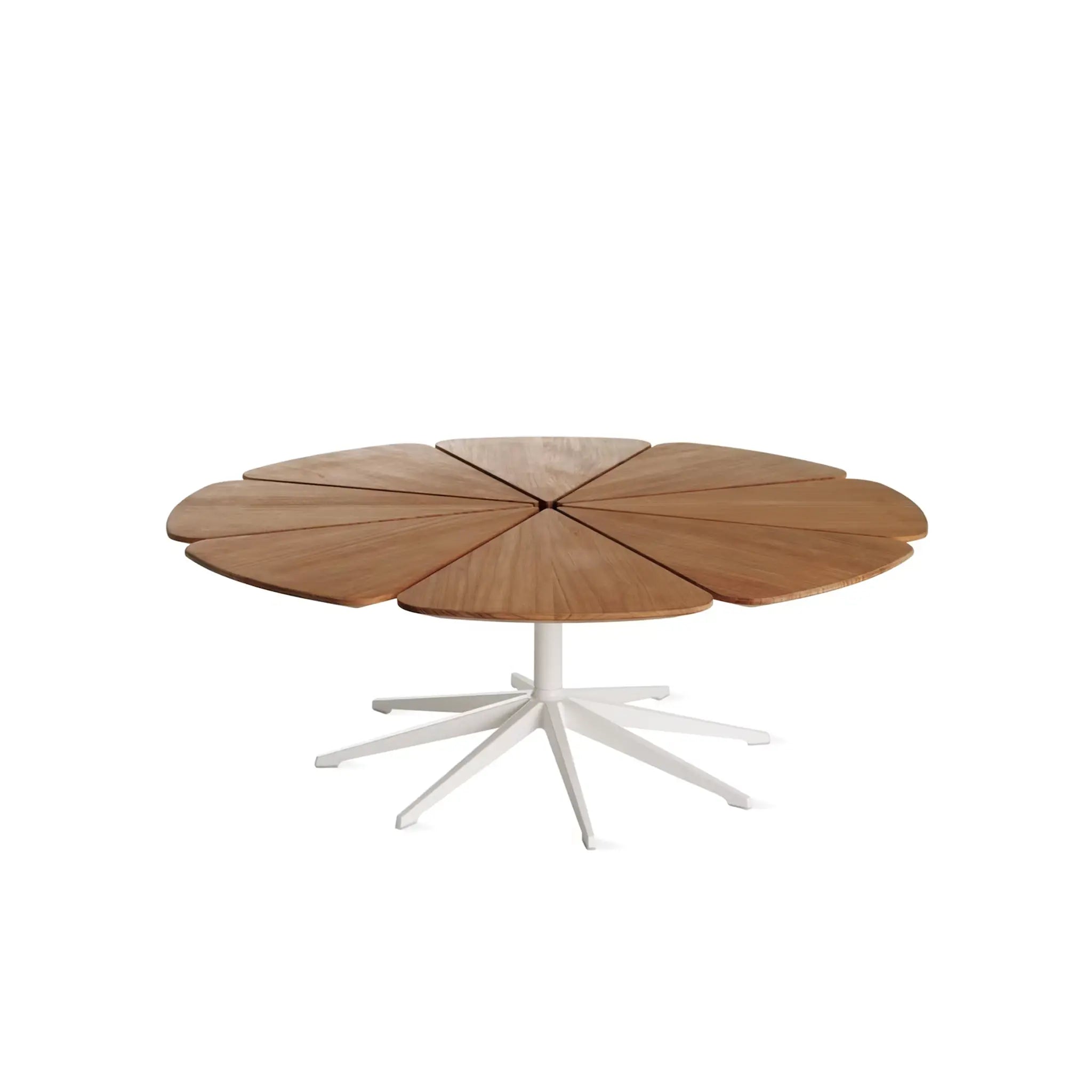 Petal Coffee Table