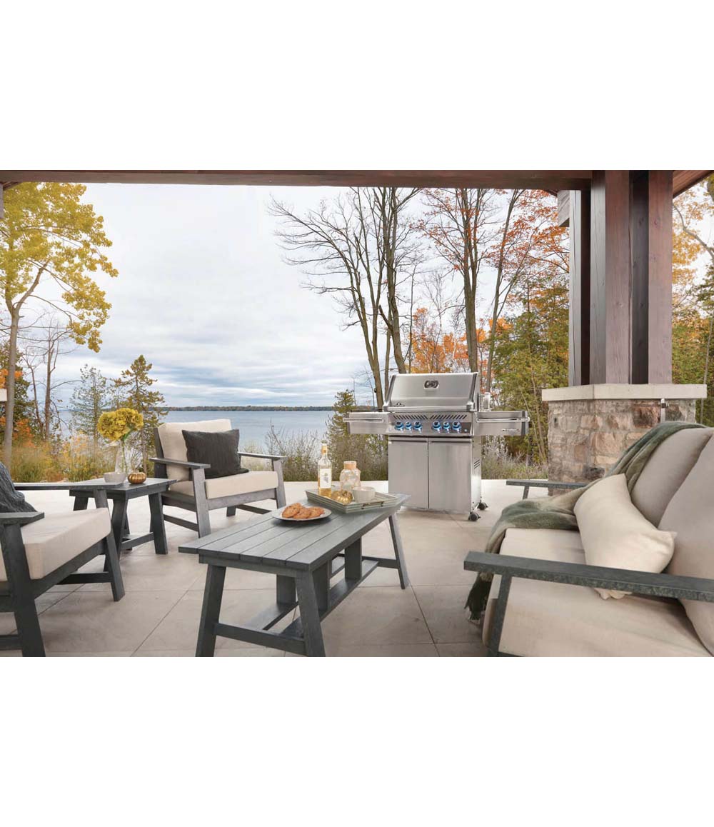 Prestige系列PRO 500 RSIB