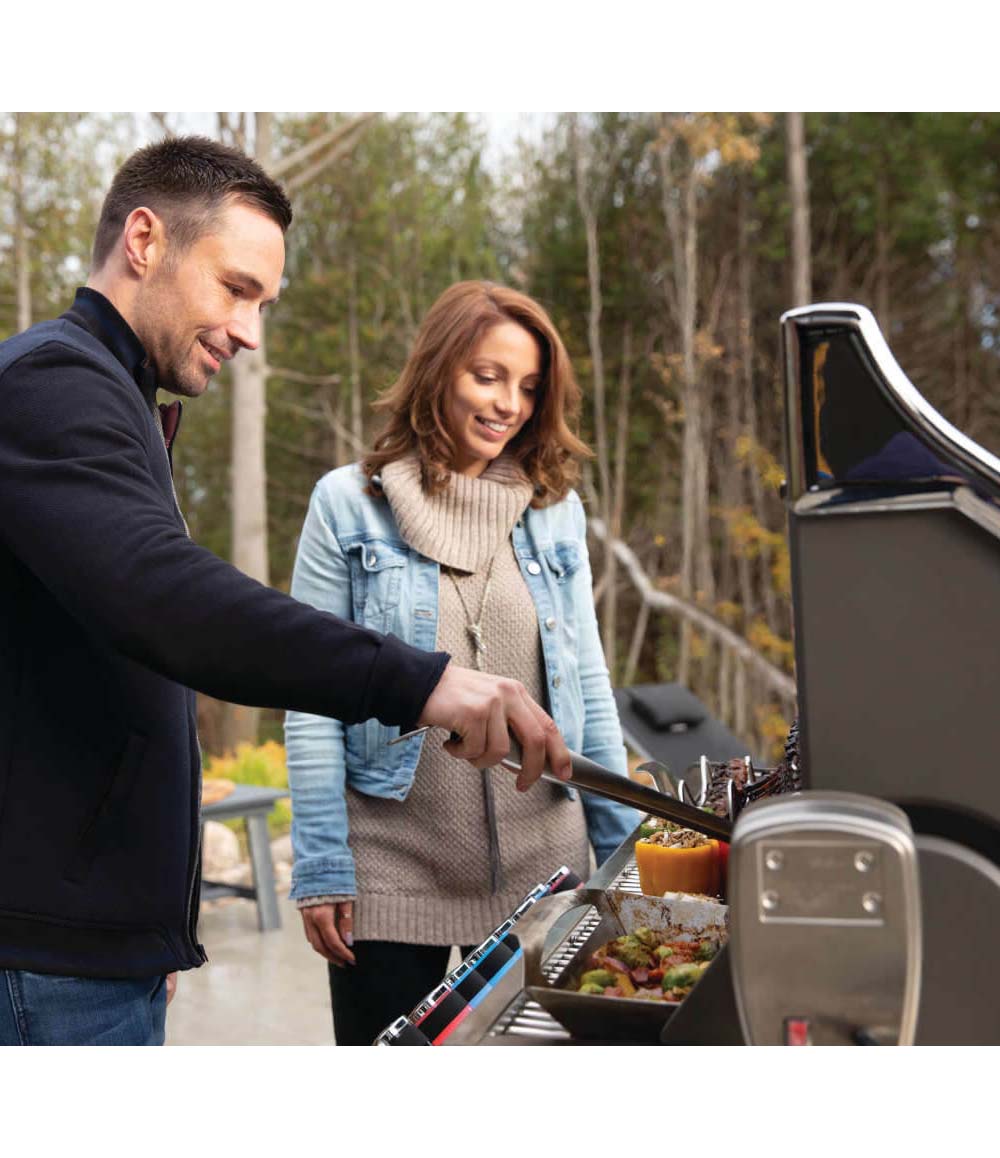 Prestige PRO 665 RSIB