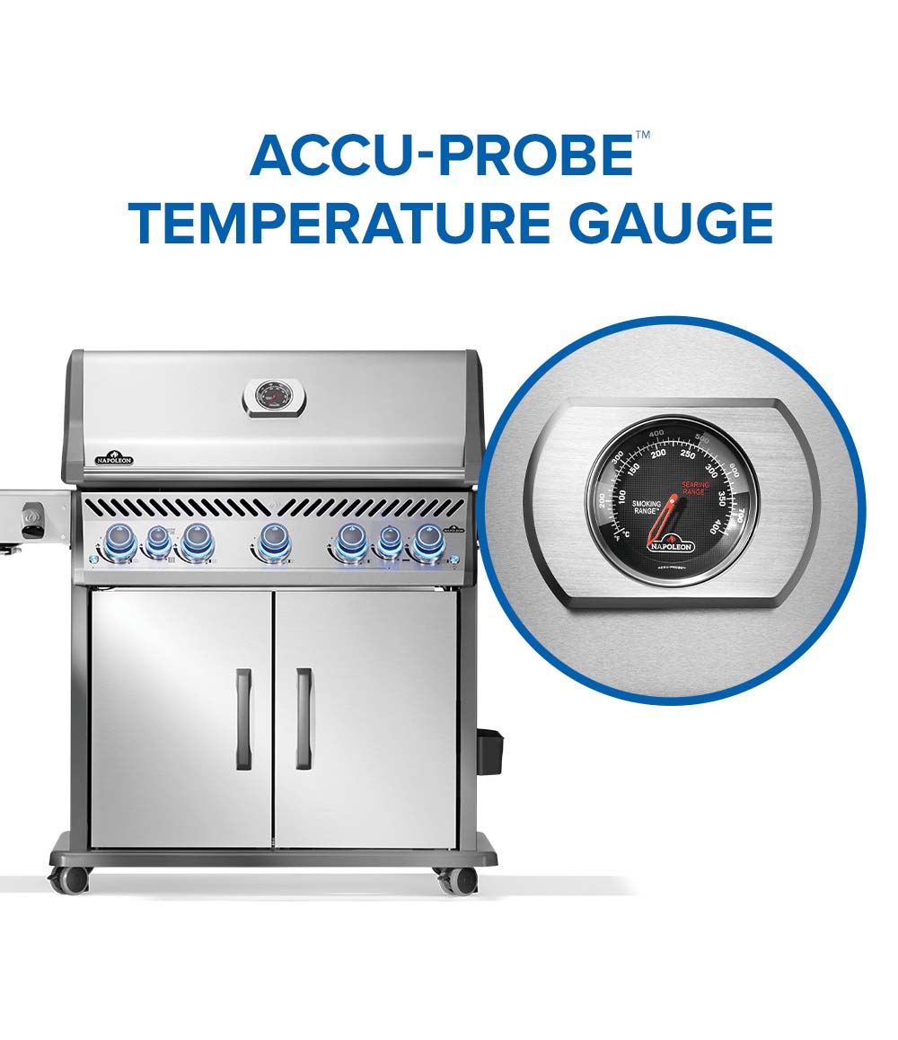 Rogue PRO-S 625 RSIB