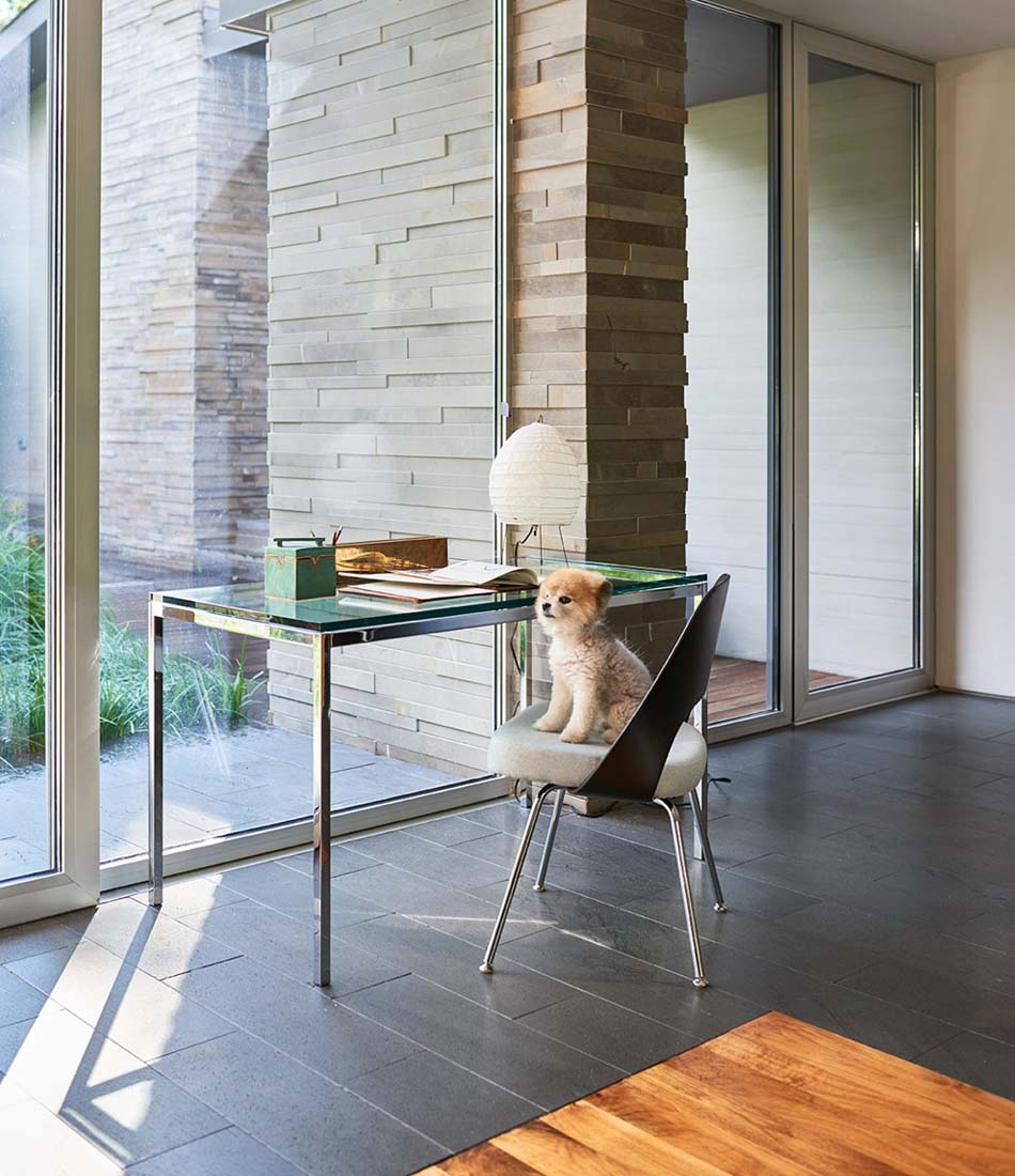 Saarinen Executive Chair - Plastic Back with Tubular Legs