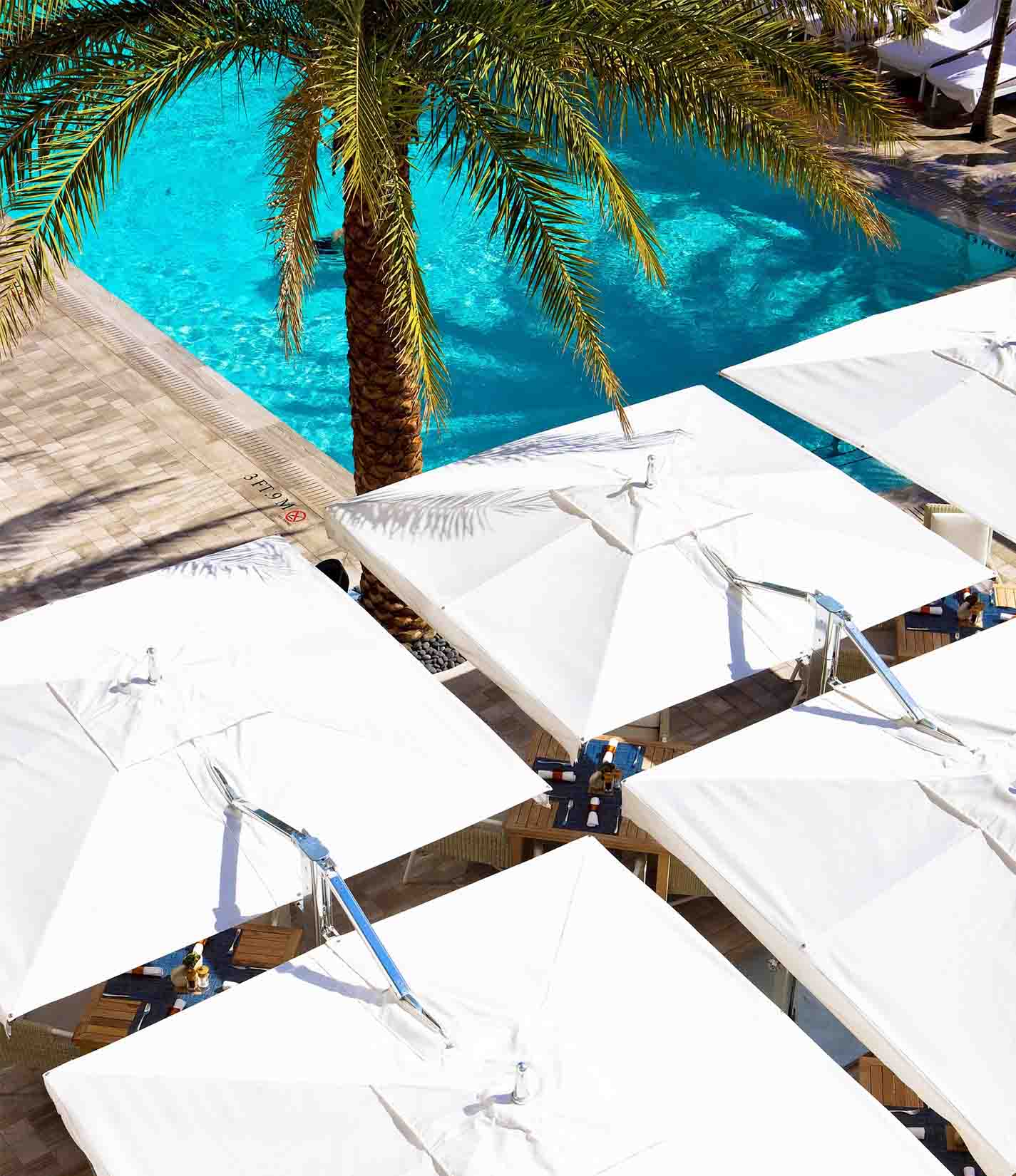 Ocean Master MAX 经典双悬臂