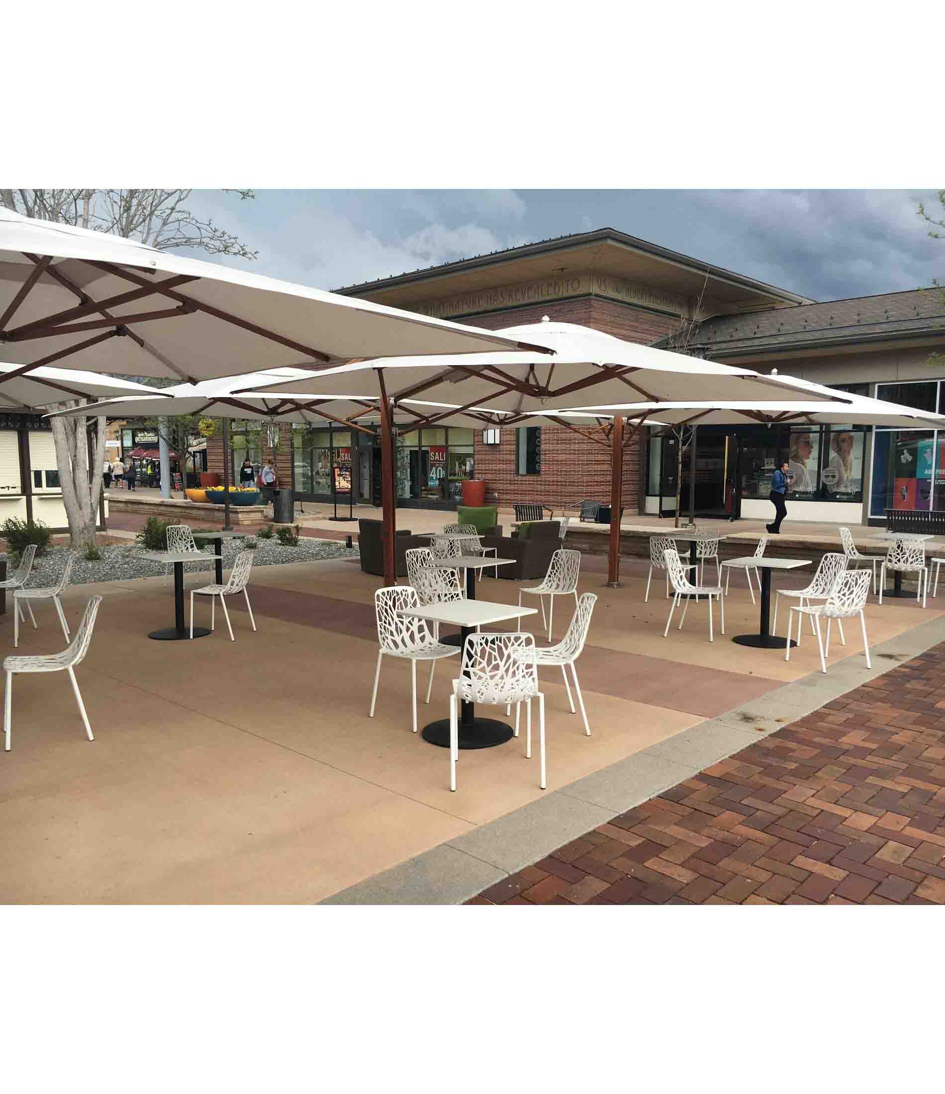 Ocean Master MAX 经典双悬臂