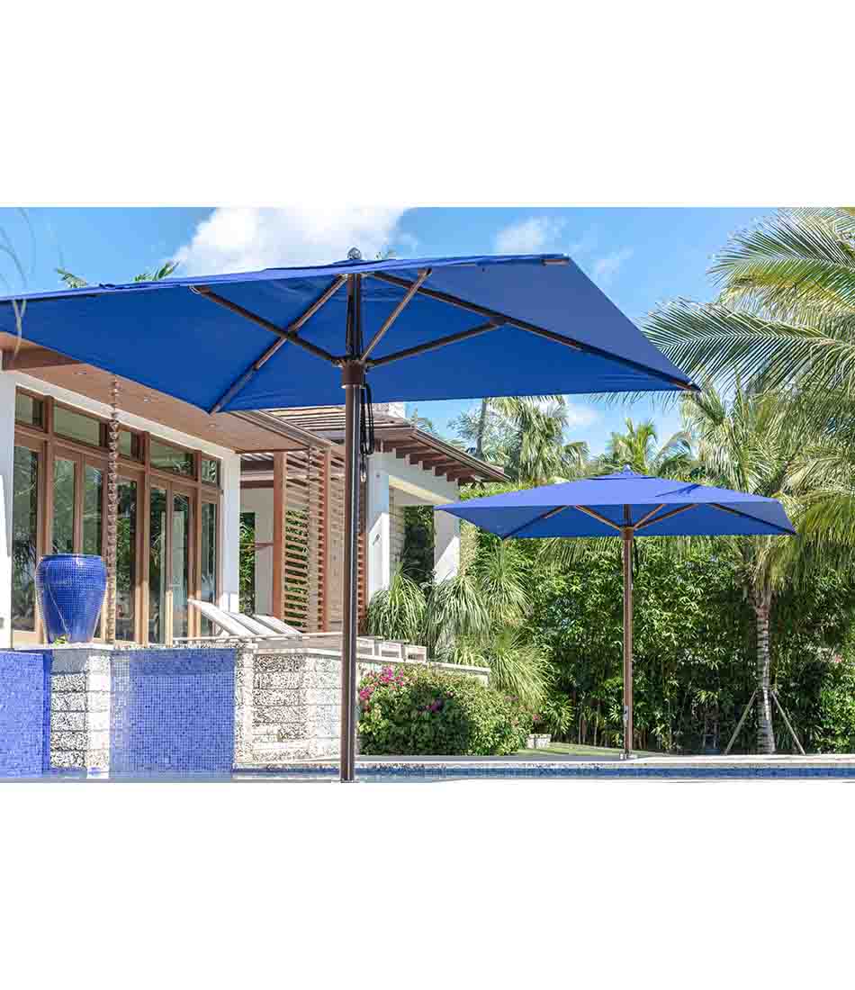 海洋大师 MAX 经典版