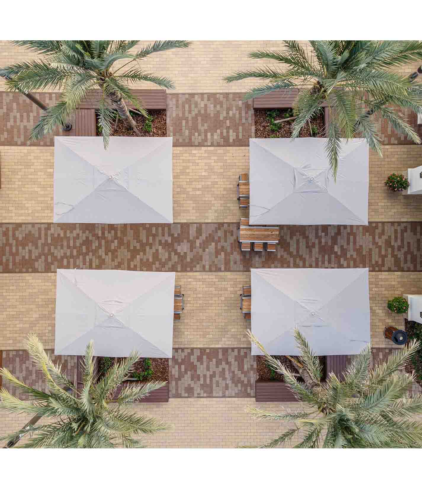 海洋大师 MAX 经典版