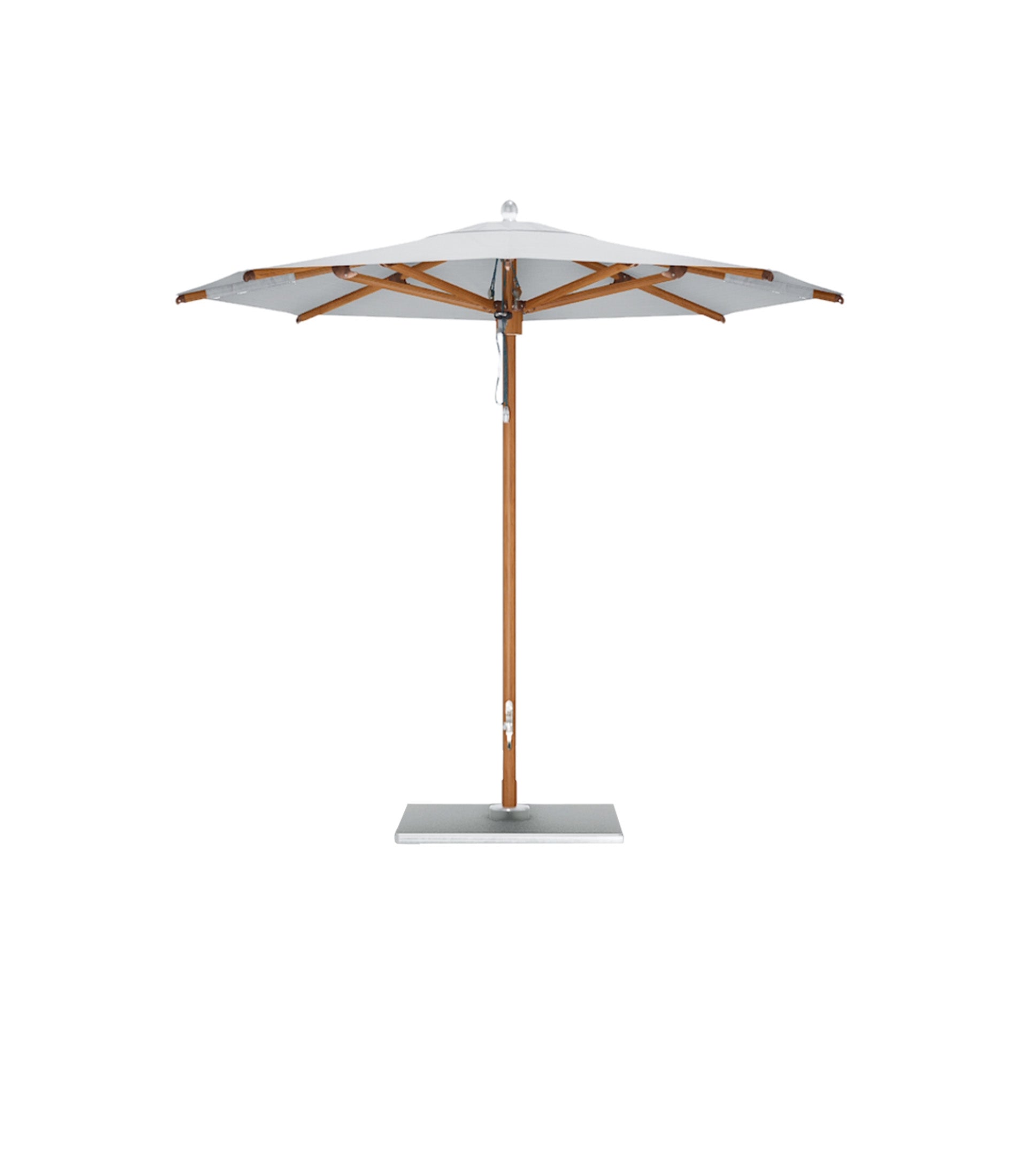 海洋大师 MAX 经典版