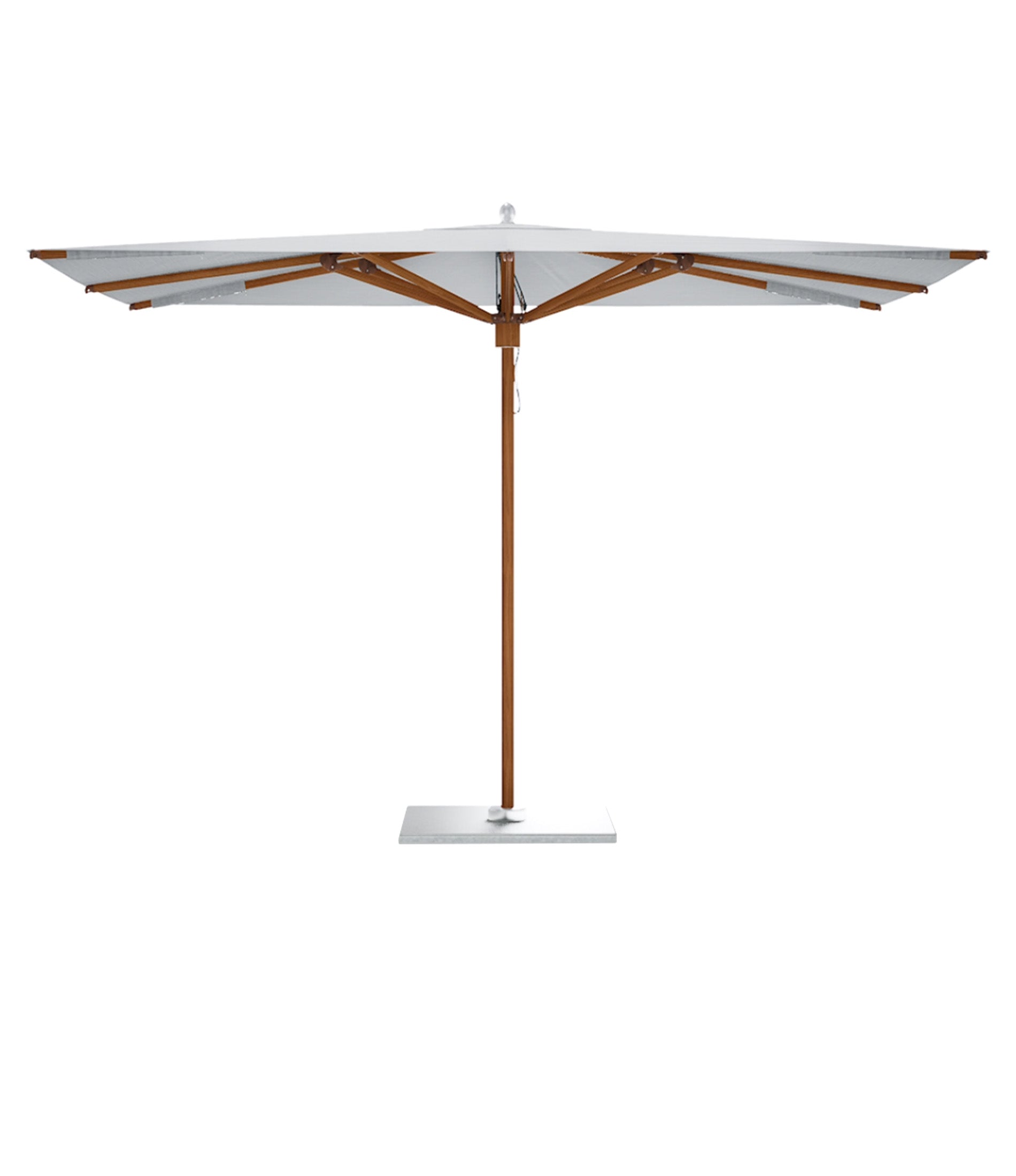 海洋大师 MAX 经典版