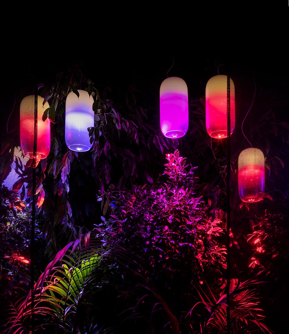 Gople Mini Suspension Lamp