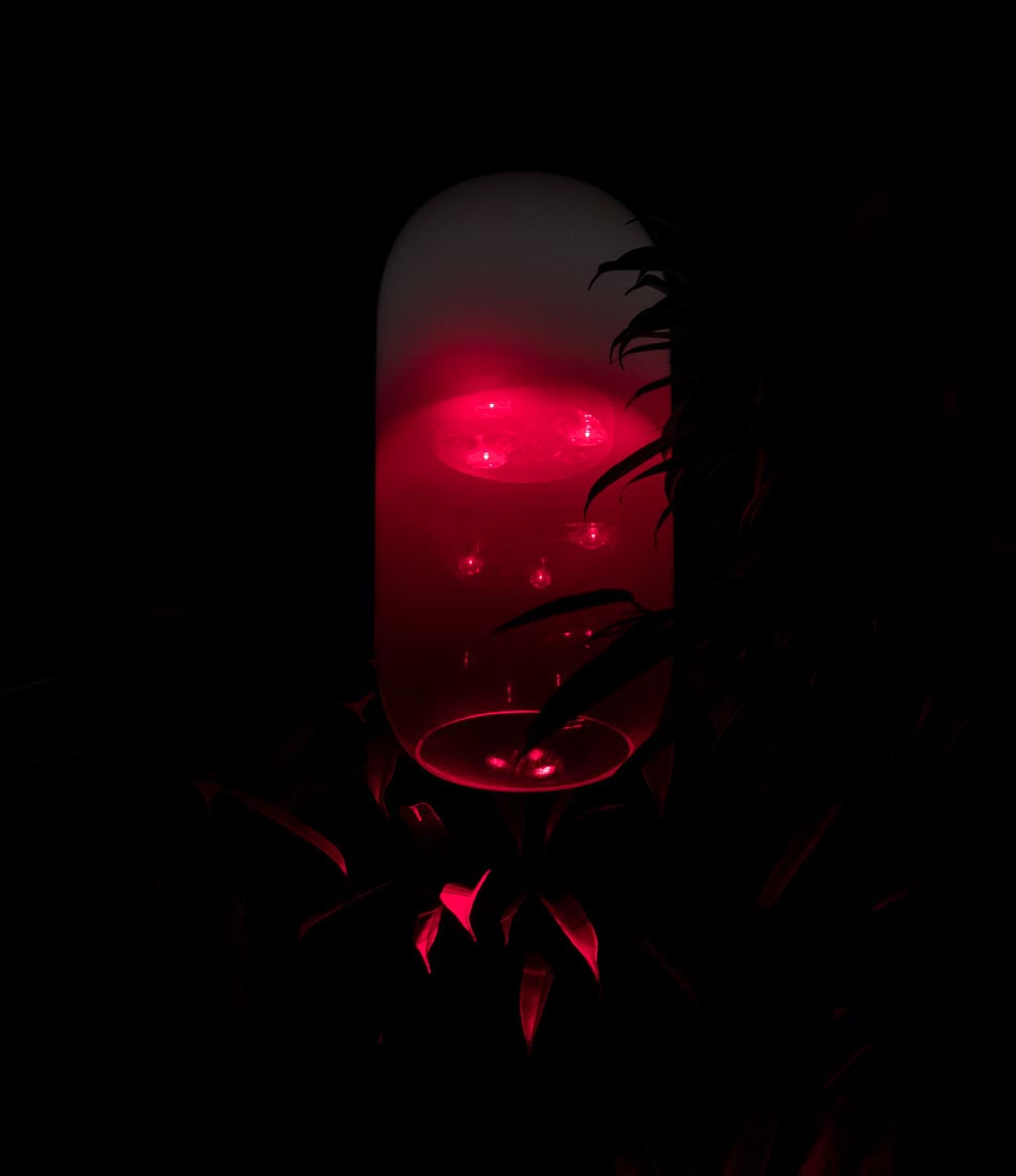 Gople Mini Suspension Lamp