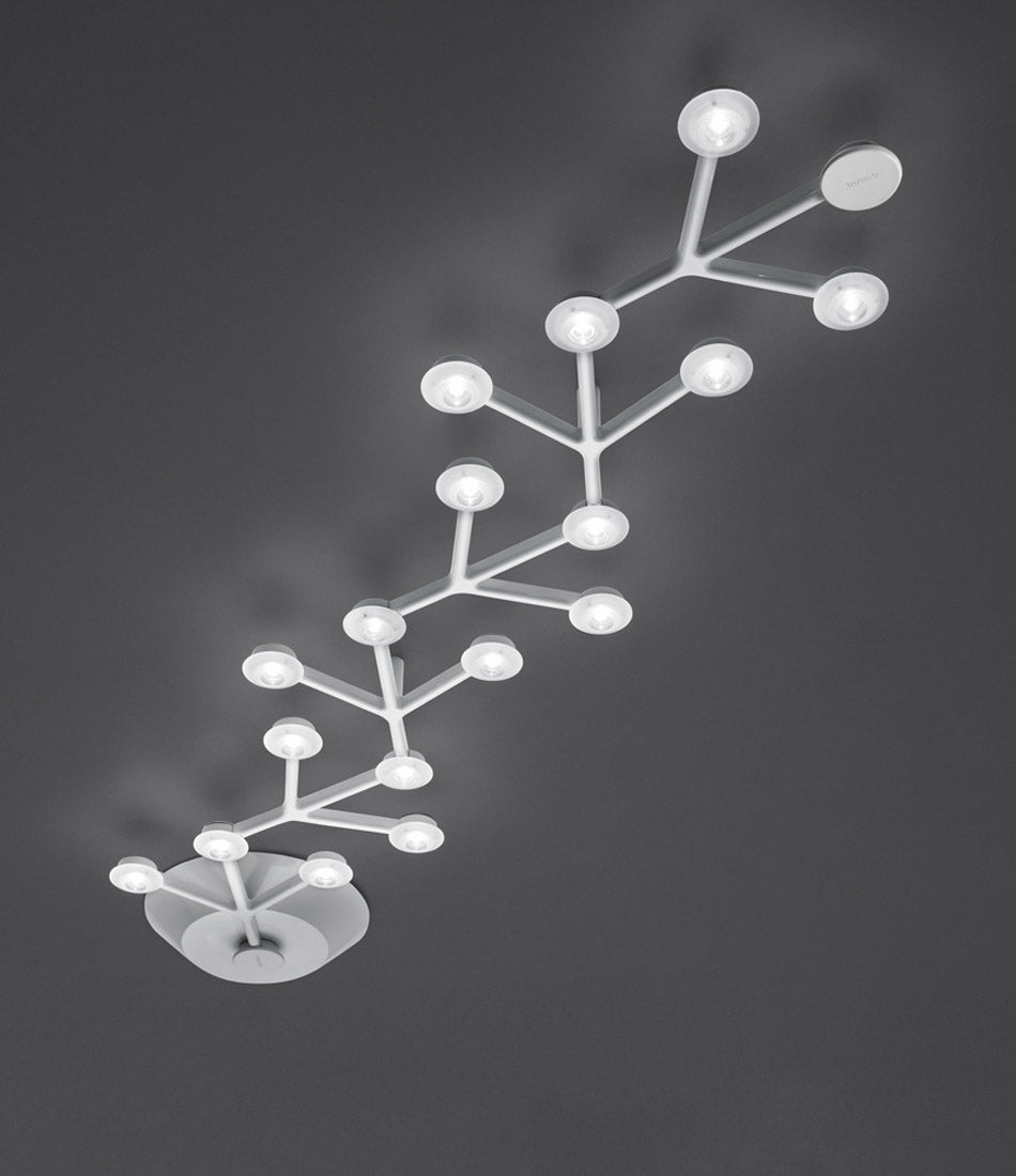 Artemide Led Net Line 125 ceiling lamp, with multipoint lighting nodes.