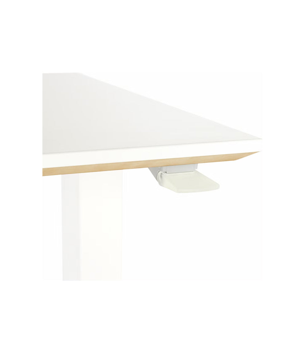 Renew可调节办公桌