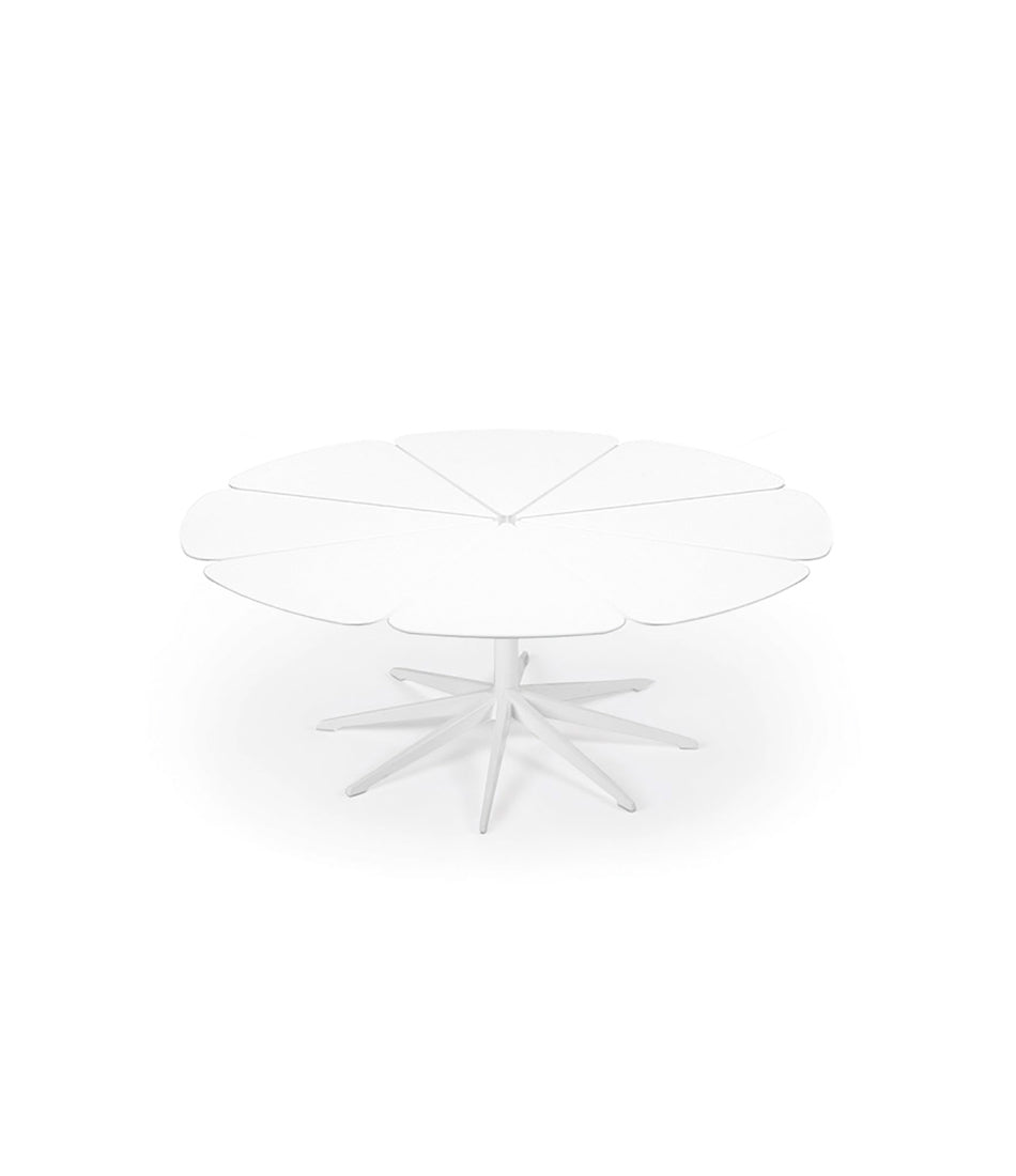 Petal Coffee Table