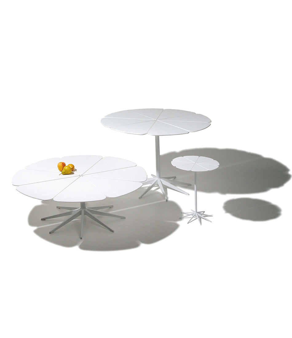 Petal Dining Table
