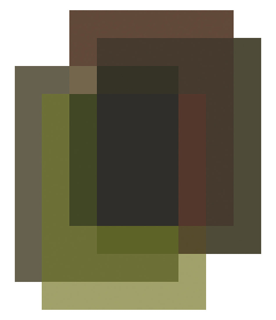 混合区域地毯 - 4 种颜色