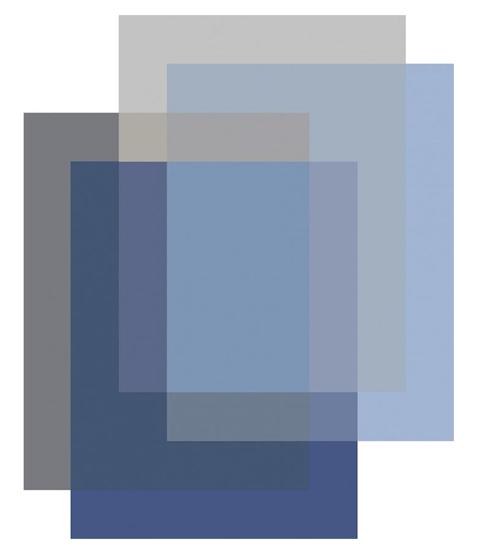 混合区域地毯 - 4 种颜色