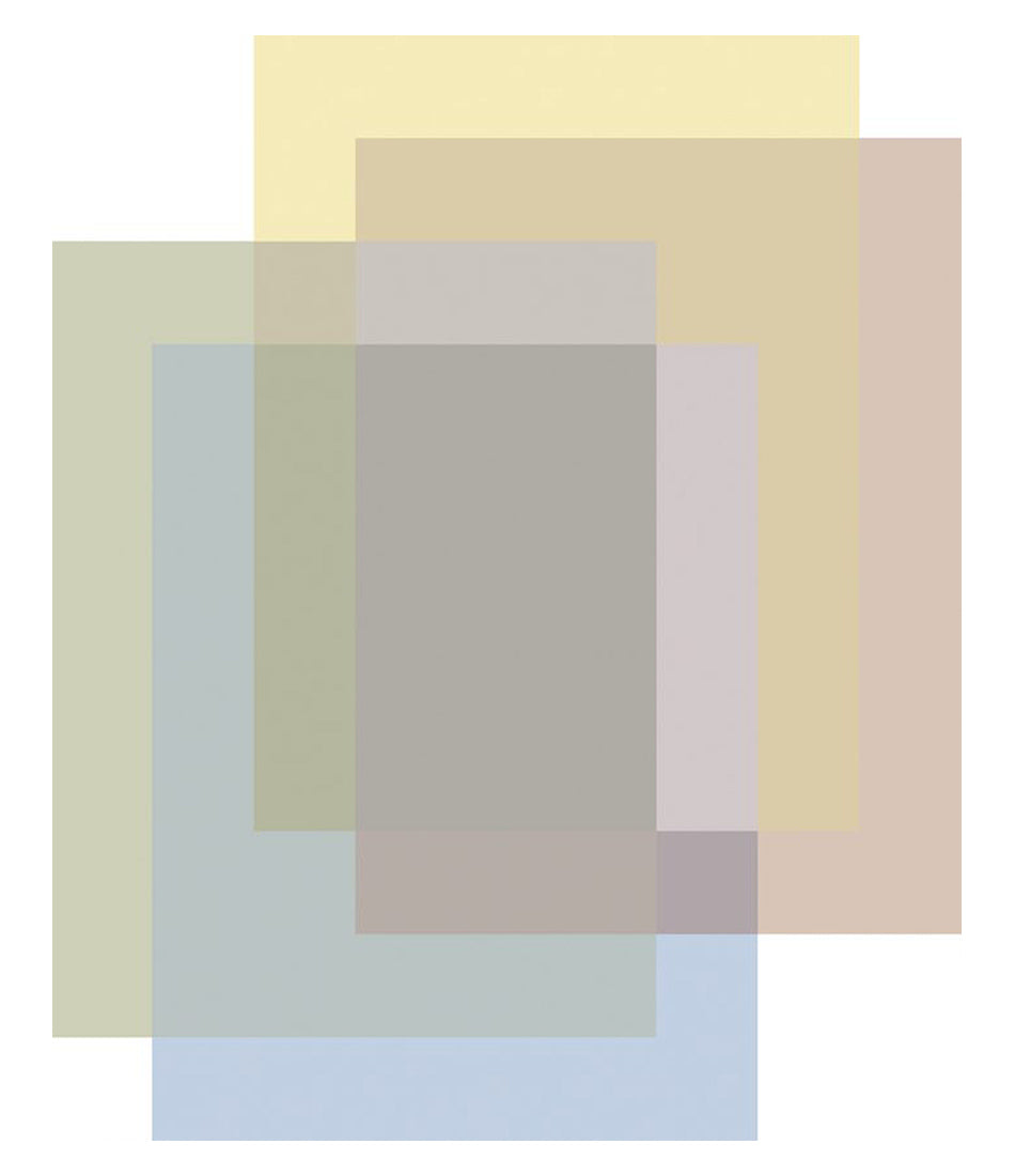 混合区域地毯 - 4 种颜色