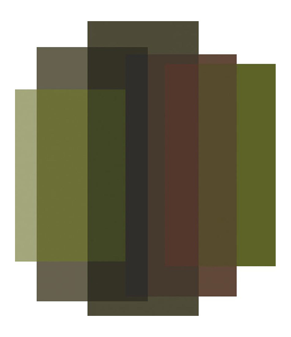 混合区域地毯 - 5 种颜色