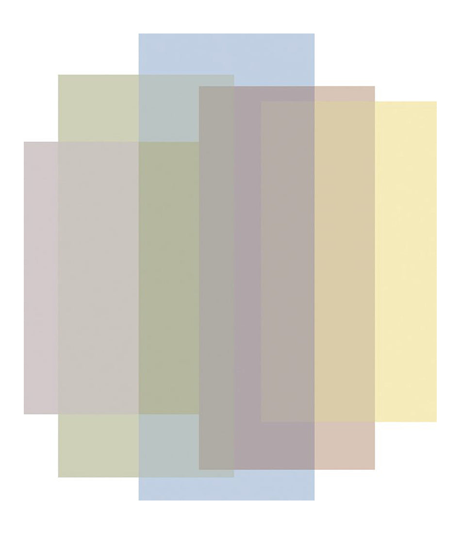 混合区域地毯 - 5 种颜色