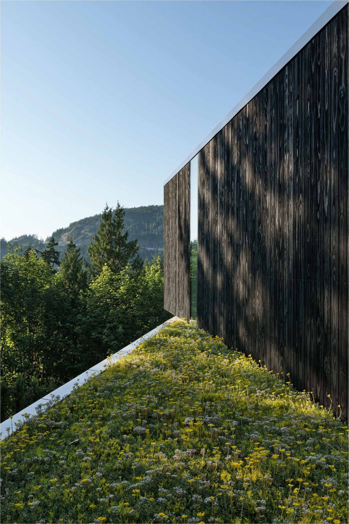 Architecture and landscape