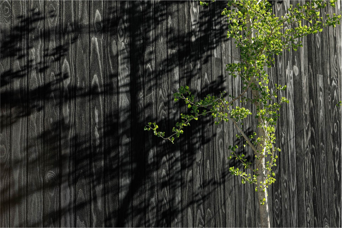 Architecture and landscape
