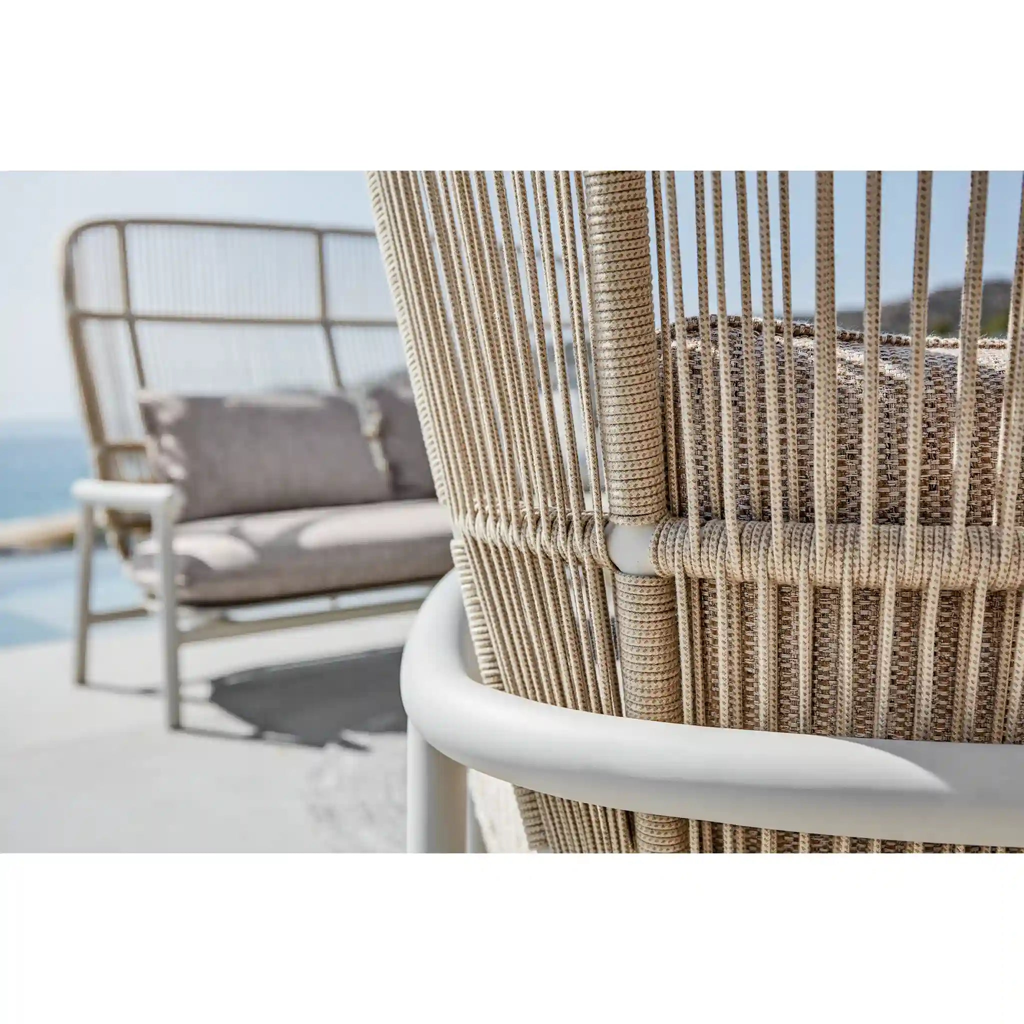 Fern Lounge Chair - Aluminum