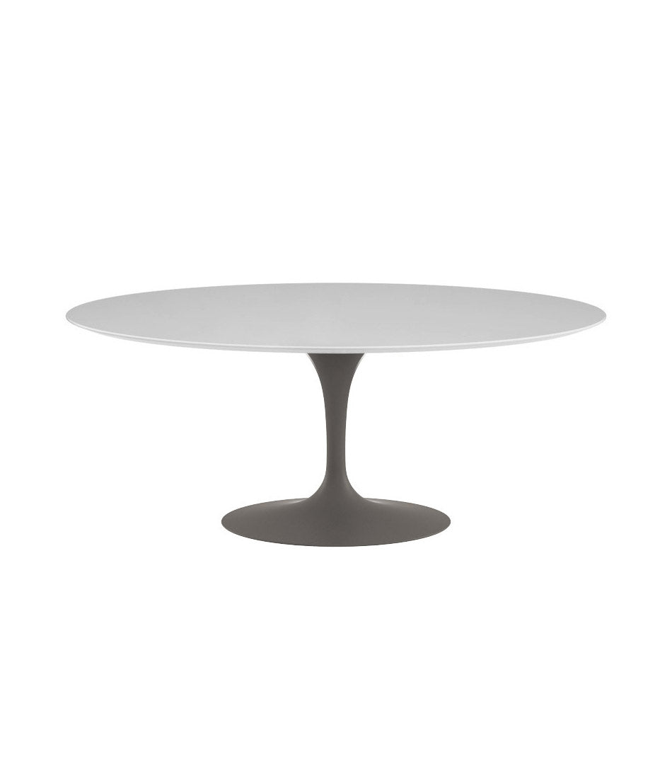 Saarinen Oval Dining Table - Laminate Top